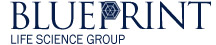 blueprintlogo