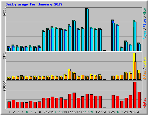 Daily usage for January 2019