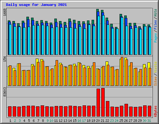 Daily usage for January 2021