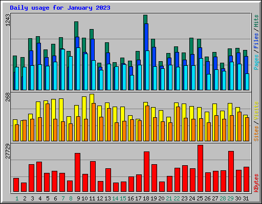 Daily usage for January 2023
