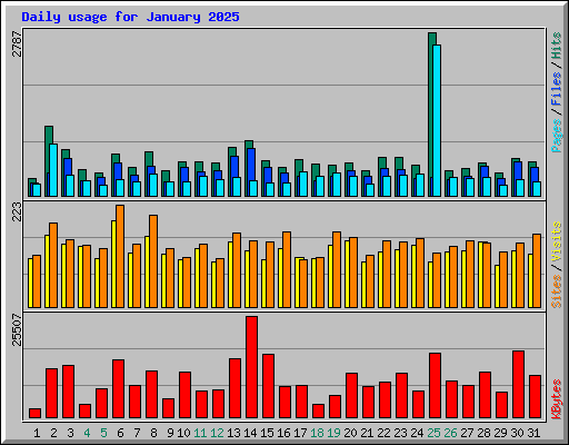 Daily usage for January 2025