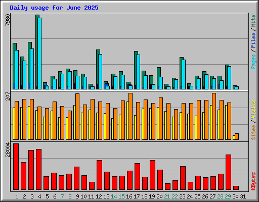 Daily usage for June 2025