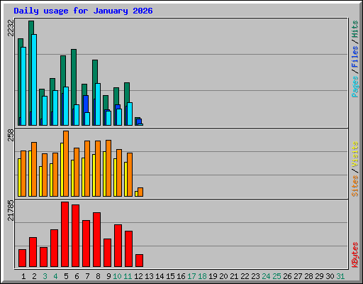 Daily usage for January 2026