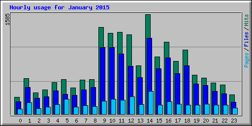 Hourly usage for January 2015