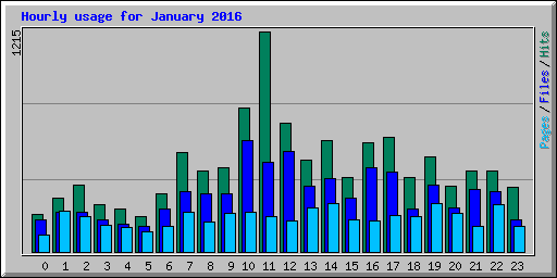 Hourly usage for January 2016