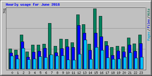 Hourly usage for June 2016