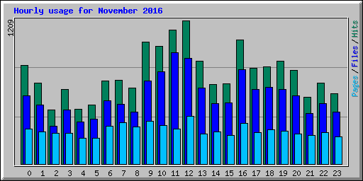 Hourly usage for November 2016