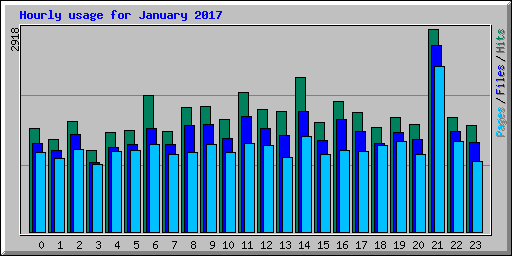 Hourly usage for January 2017