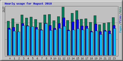 Hourly usage for August 2018