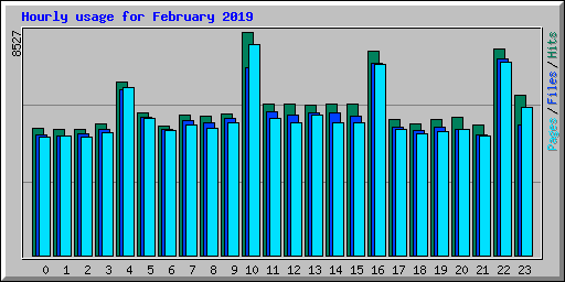 Hourly usage for February 2019
