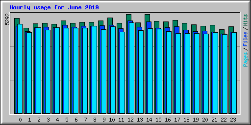 Hourly usage for June 2019