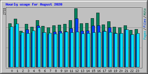 Hourly usage for August 2020