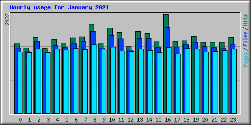 Hourly usage for January 2021