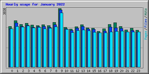 Hourly usage for January 2022