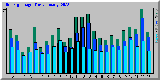 Hourly usage for January 2023