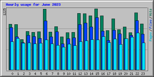 Hourly usage for June 2023