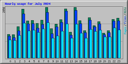 Hourly usage for July 2024