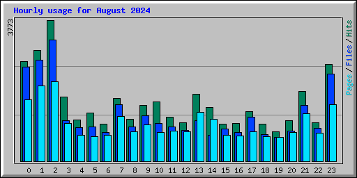 Hourly usage for August 2024