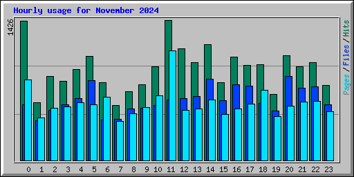 Hourly usage for November 2024