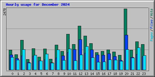 Hourly usage for December 2024