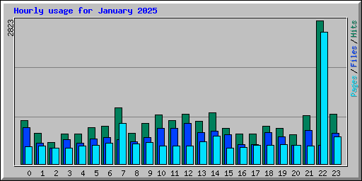Hourly usage for January 2025
