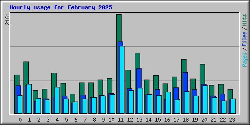 Hourly usage for February 2025