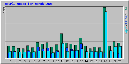 Hourly usage for March 2025