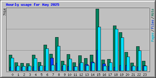 Hourly usage for May 2025