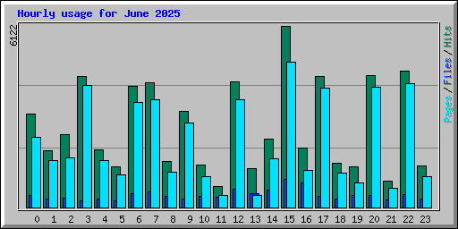 Hourly usage for June 2025