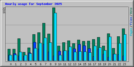Hourly usage for September 2025