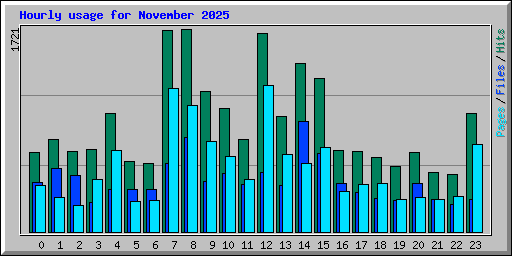 Hourly usage for November 2025