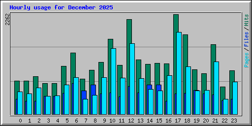 Hourly usage for December 2025