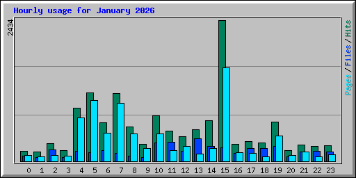 Hourly usage for January 2026