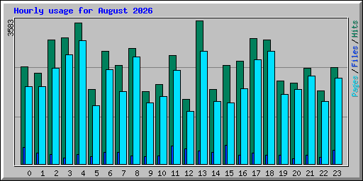 Hourly usage for August 2026