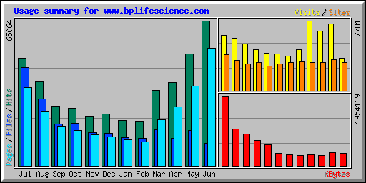 Usage summary for www.bplifescience.com