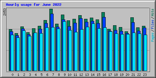 Hourly usage for June 2022